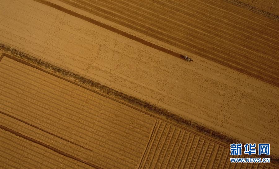 （百城百縣百企調研行&middot;圖文互動）（2）海南農墾：農業&ldquo;國家隊&rdquo;打贏改革&ldquo;翻身仗&rdquo;