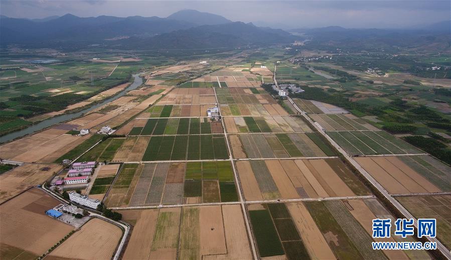 （百城百縣百企調研行&middot;圖文互動）（1）海南農墾：農業&ldquo;國家隊&rdquo;打贏改革&ldquo;翻身仗&rdquo;