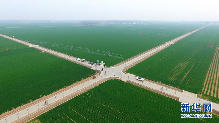 （來自一線的調查報告&middot;圖文互動）（1）從&ldquo;填飽肚子&rdquo;到&ldquo;過好日子&rdquo;&mdash;&mdash;改革開放40年河南農業三重&ldquo;蝶變記&rdquo;