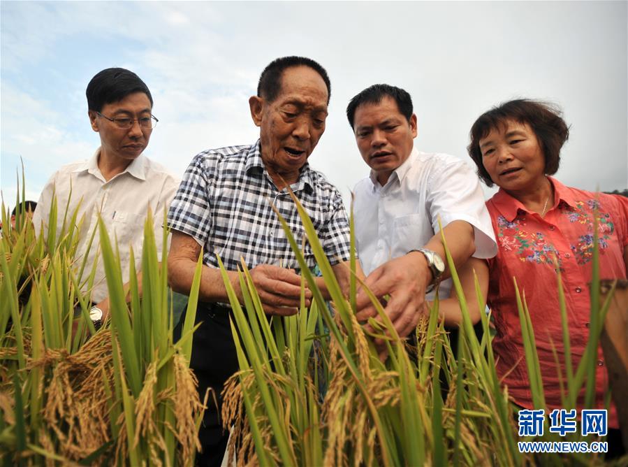(新華全媒頭條·圖文互動)(14)在時代大潮中書寫時代傳奇——致敬百名改革先鋒