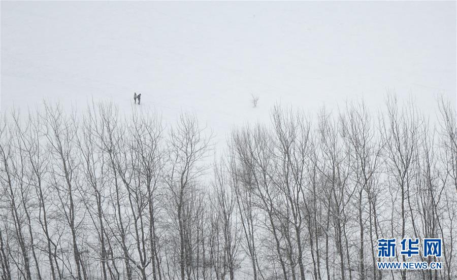 #（環境）（3）瑞雪迎新年