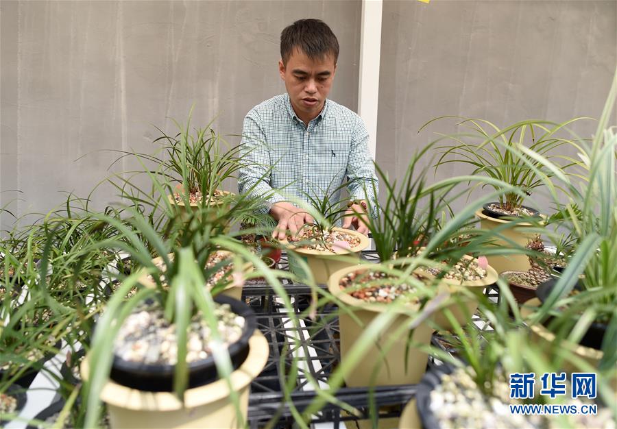 （圖文互動）（6）建設(shè)好生態(tài)宜居的美麗鄉(xiāng)村&mdash;&mdash;從&ldquo;千萬工程&rdquo;看習(xí)近平生態(tài)文明思想的生動實(shí)踐和世界回響