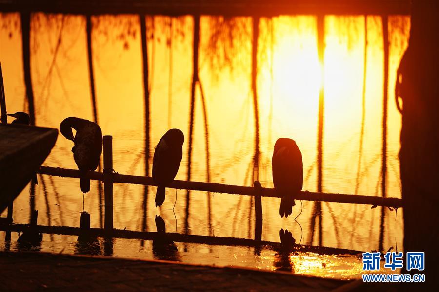 （圖文互動）（8）國務院批復同意《河北雄安新區總體規劃（2018&mdash;2035年）》 