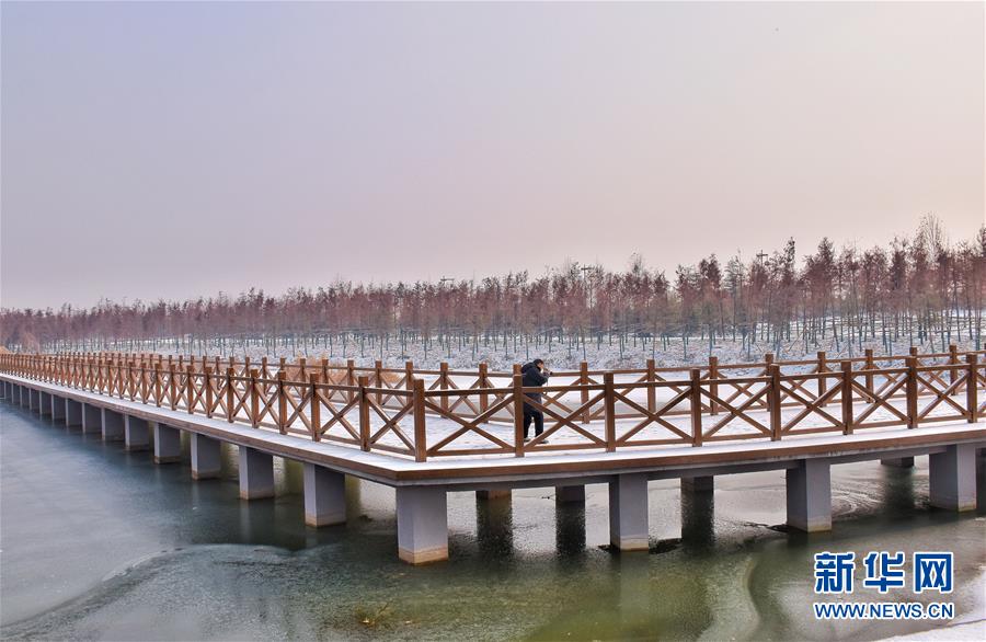 （在習近平新時代中國特色社會主義思想指引下&mdash;&mdash;新時代新作為新篇章&middot;圖文互動）（4）水綠相間看古都 古今輝映洛陽城