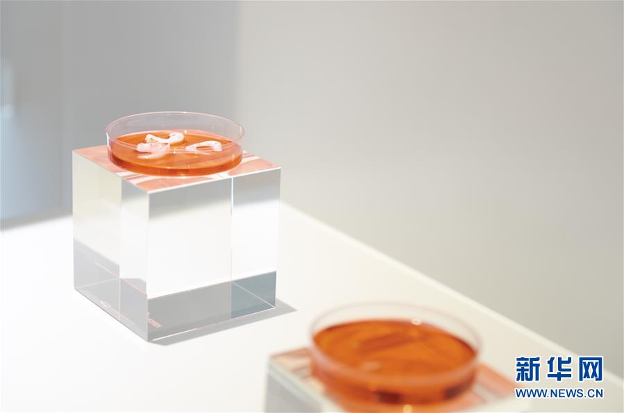 (兩會前夕看落實·圖文互動)(4)“三個第一”催奮進 珠江潮起再出發(fā)——廣東落實習(xí)近平總書記全國兩會重要講話精神紀實