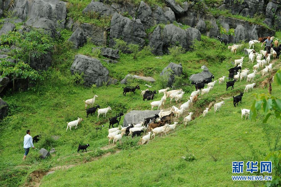 (兩會前夕看落實(shí)·圖文互動)(2)決戰(zhàn)脫貧攻堅(jiān) 奮力后發(fā)趕超——貴州落實(shí)習(xí)近平總書記全國兩會重要講話精神紀(jì)實(shí)