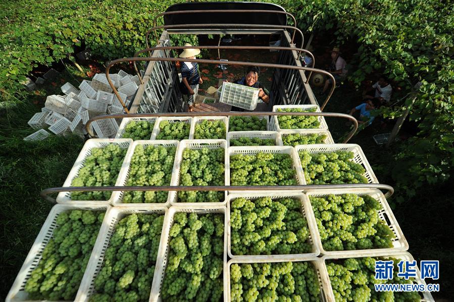 (兩會前夕看落實(shí)·圖文互動)(7)決戰(zhàn)脫貧攻堅(jiān) 奮力后發(fā)趕超——貴州落實(shí)習(xí)近平總書記全國兩會重要講話精神紀(jì)實(shí)