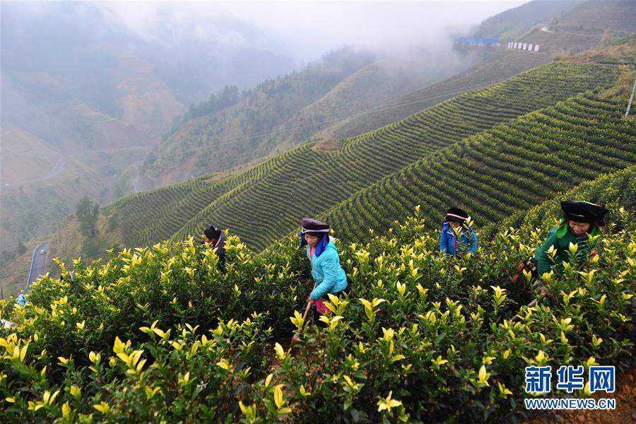 (兩會前夕看落實(shí)·圖文互動)(8)決戰(zhàn)脫貧攻堅(jiān) 奮力后發(fā)趕超——貴州落實(shí)習(xí)近平總書記全國兩會重要講話精神紀(jì)實(shí)