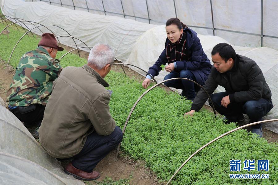 (兩會前夕看落實·圖文互動)(1)奮力脫貧攻堅 生態追“清”逐“綠”——江西落實習近平總書記全國兩會重要講話精神紀實