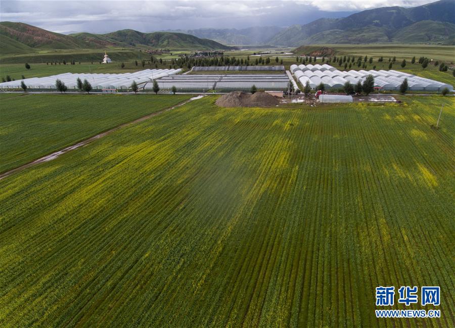 （兩會前夕看落實&middot;圖文互動）（6）&ldquo;飛針走線&rdquo;&ldquo;繡&rdquo;出小康畫卷&mdash;&mdash;四川落實習近平總書記全國兩會重要講話精神紀實