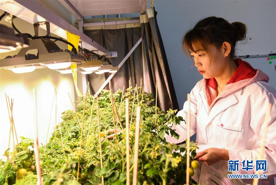 (兩會前夕看落實·圖文互動)(5)在高質量發展的探索中奮進——內蒙古落實習近平總書記全國兩會重要講話精神紀實