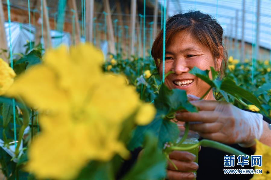 (兩會前夕看落實·圖文互動)(4)融合“三生三美” 打造鄉(xiāng)村振興齊魯樣板——山東落實習(xí)近平總書記全國兩會重要講話精神紀(jì)實