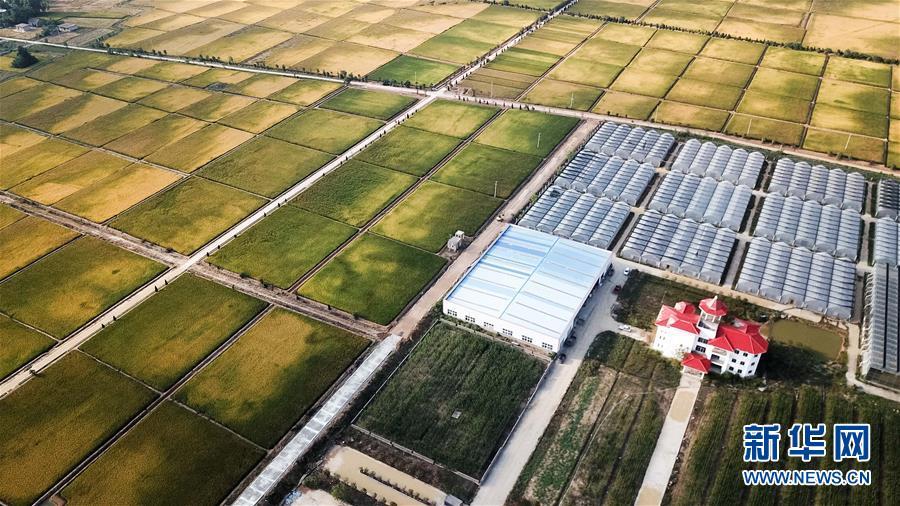 （新華全媒頭條&middot;愛國情 奮斗者&middot;圖文互動）（8）一個村的奮斗，一個時代的巨變&mdash;&mdash;記敢&ldquo;蹚新路&rdquo;的小崗人