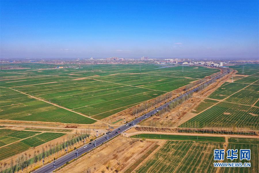 （新華全媒頭條&middot;圖文互動）（2）奮進，向著未來之城！&mdash;&mdash;河北雄安新區建設發展兩周年紀實