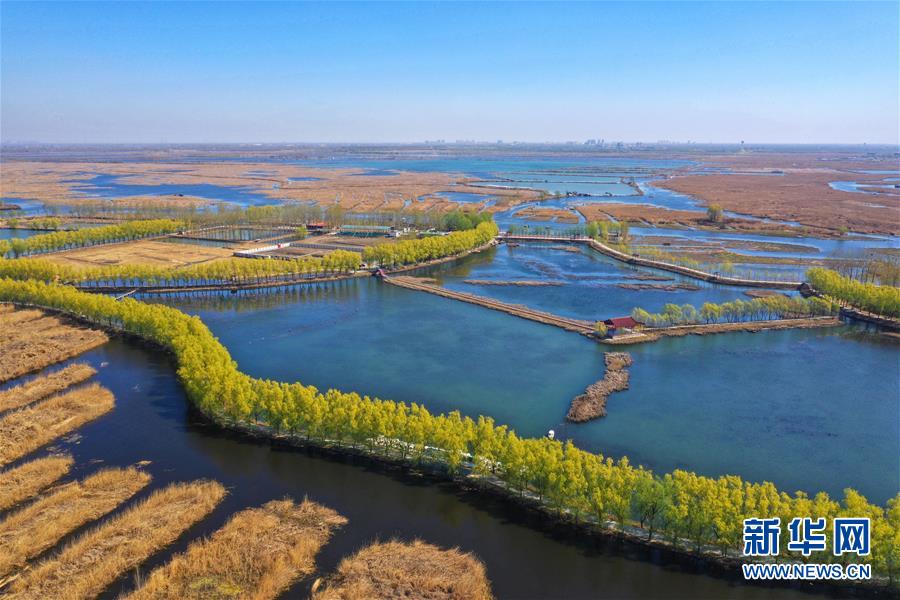 （新華全媒頭條&middot;圖文互動）（5）奮進，向著未來之城！&mdash;&mdash;河北雄安新區建設發展兩周年紀實