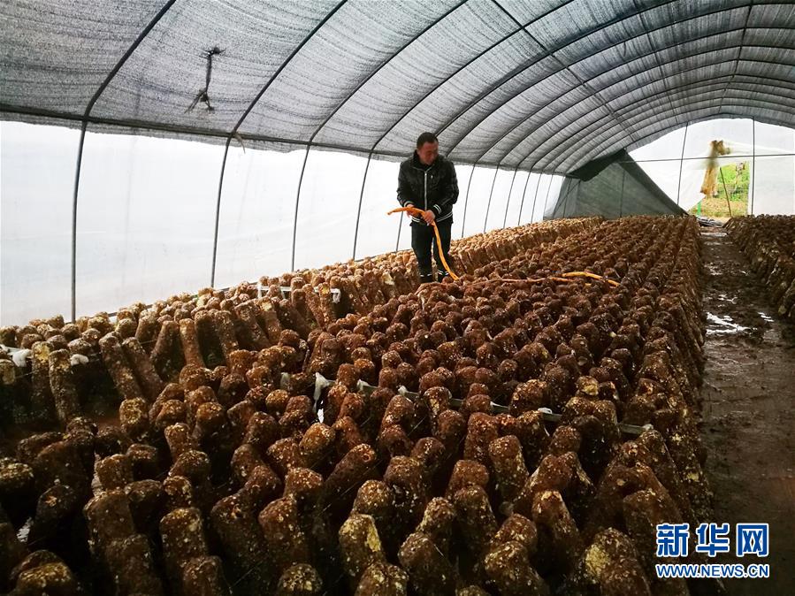 （新華全媒頭條&middot;圖文互動）（1）以生命赴使命 用熱血鑄忠魂&mdash;&mdash;記犧牲在脫貧攻堅戰場上的英雄們