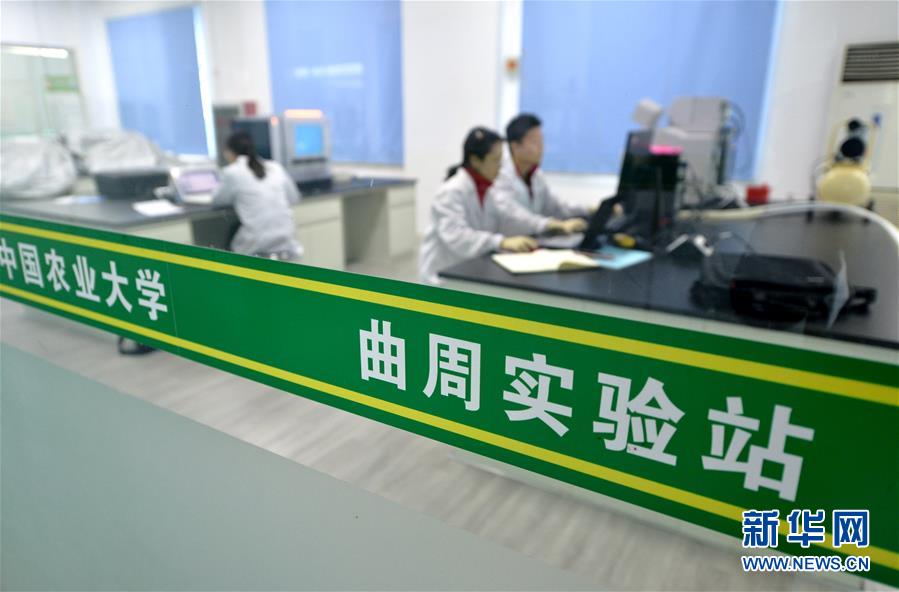 （愛國情 奮斗者&middot;圖文互動）（3） &ldquo;解民生之多艱，育天下之英才&rdquo;&mdash;&mdash;中國農(nóng)大師生扎根田野書寫奉獻(xiàn)之歌