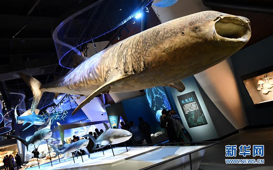 (社會)(6)國家海洋博物館5月1日試運行