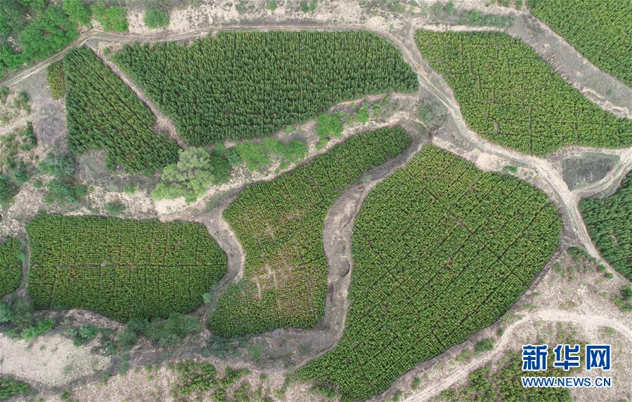 （新華全媒頭條&middot;北京世園會&middot;圖文互動）（8）共繪人類生態文明美麗畫卷&mdash;&mdash;從北京世園會看中國綠色發展的&ldquo;世界貢獻&rdquo;