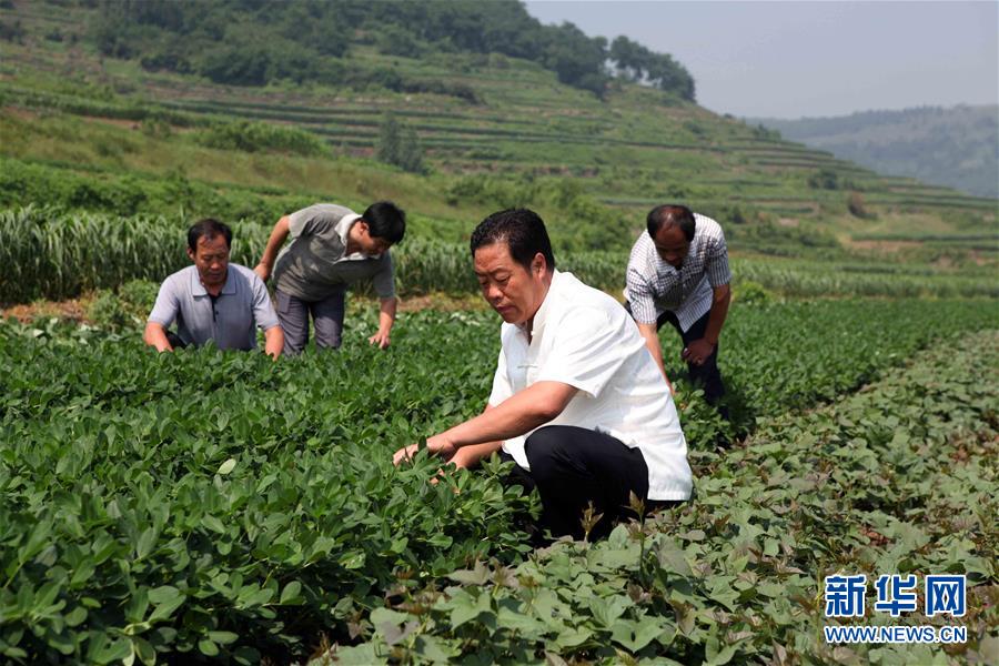 (新華全媒頭條·圖文互動)(1)讓奮斗成為人生最亮麗的底色——寫在2019年“五一”國際勞動節到來之際