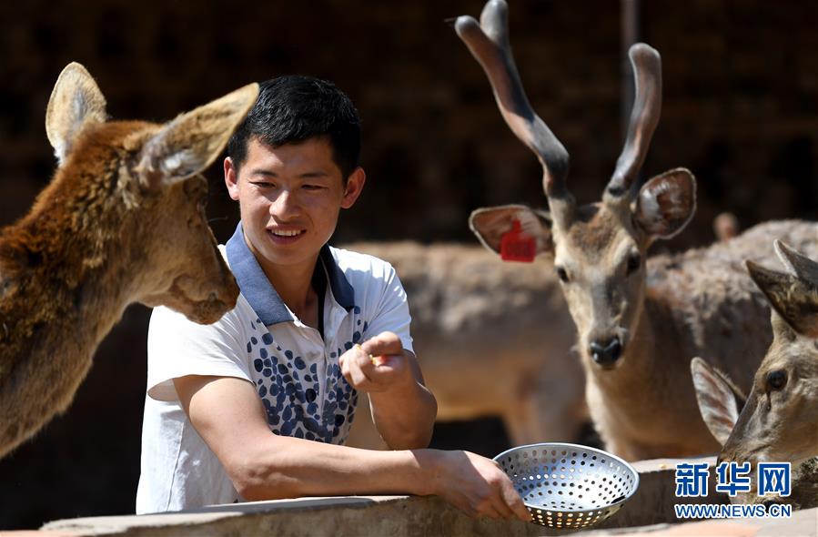 (新華全媒頭條·圖文互動(dòng))(6)追夢(mèng)在新時(shí)代的春天里——革命圣地延安告別絕對(duì)貧困巡禮