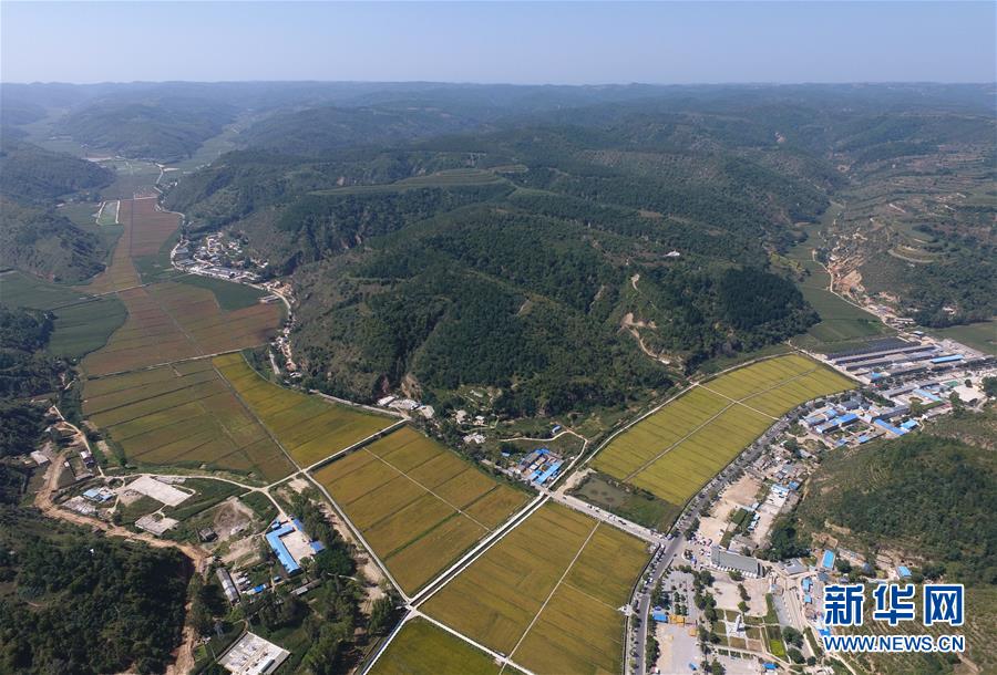 （圖文互動(dòng)）（1）今日延安：&ldquo;對(duì)照過(guò)去我認(rèn)不出了你&rdquo;&mdash;&mdash;紅色圣地的生態(tài)交響曲