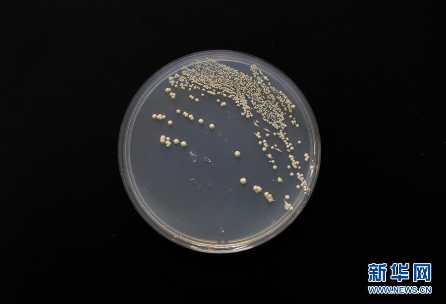 （新華全媒頭條&middot;圖文互動）（6）&ldquo;兩個一公里&rdquo;的創新答案&mdash;&mdash;上海全力建設全球科創中心紀實