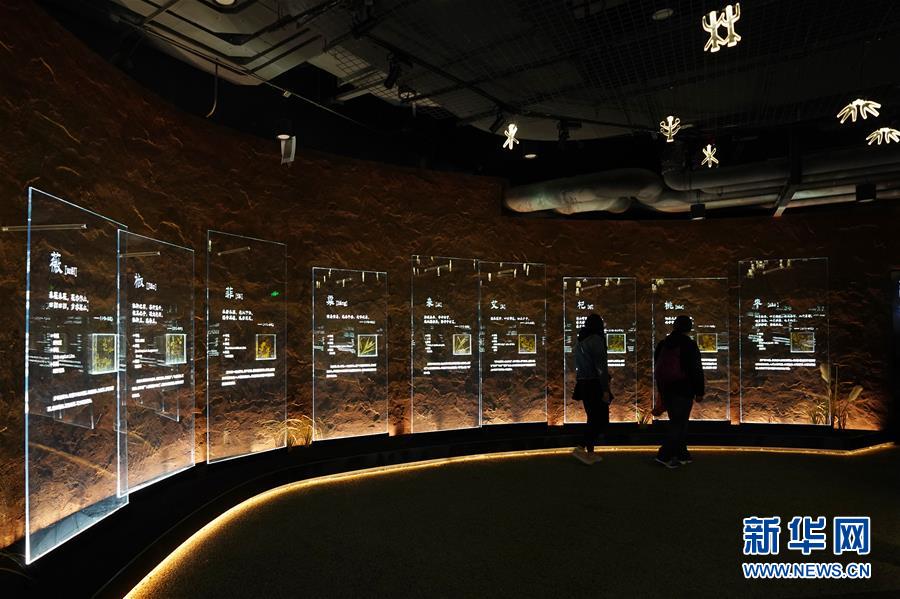 （在習近平新時代中國特色社會主義思想指引下&mdash;&mdash;新時代新作為新篇章&middot;圖文互動）（4）從世園會&ldquo;看&rdquo;中國綠色發(fā)展之路&mdash;&mdash;寫在北京世園會&ldquo;中國國家館日&rdquo;到來之際