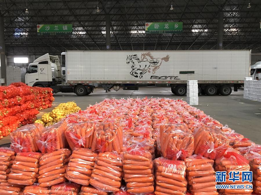 (在習(xí)近平新時代中國特色社會主義思想指引下——新時代新作為新篇章·圖文互動)(1)牡丹江:小果蔬透著三種“范兒”