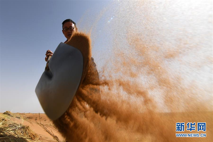 （權威訪談&middot;聚焦中國經濟亮點&middot;圖文互動）（10）防治土地荒漠化 推動綠色發展&mdash;&mdash;專訪國家林業和草原局副局長劉東生