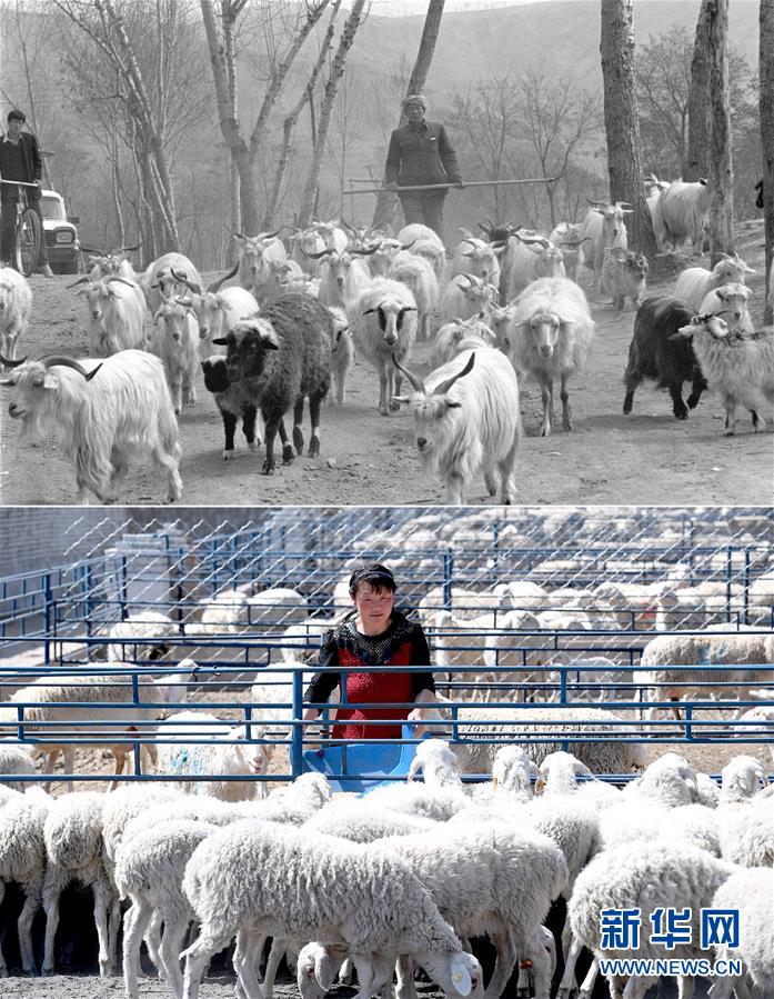 （新華全媒頭條&middot;圖文互動）（4）不忘初心使命 永立時代潮頭&mdash;&mdash;寫在中國共產黨成立98周年之際