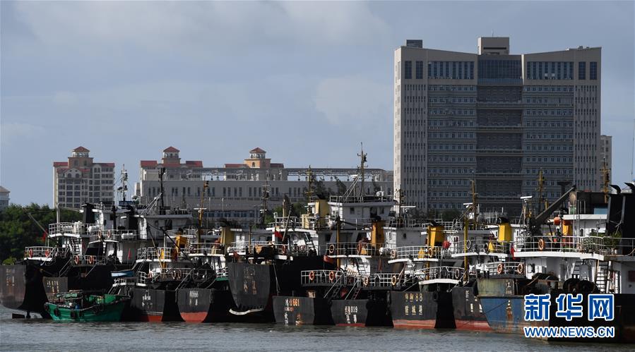 （社會）（1）?？冢捍盎馗郾芘_風