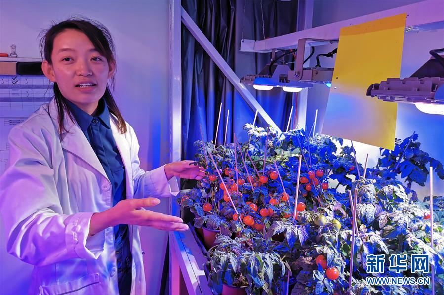 (愛國情 奮斗者·圖文互動)(4)池建義團隊:把論文寫在產品上