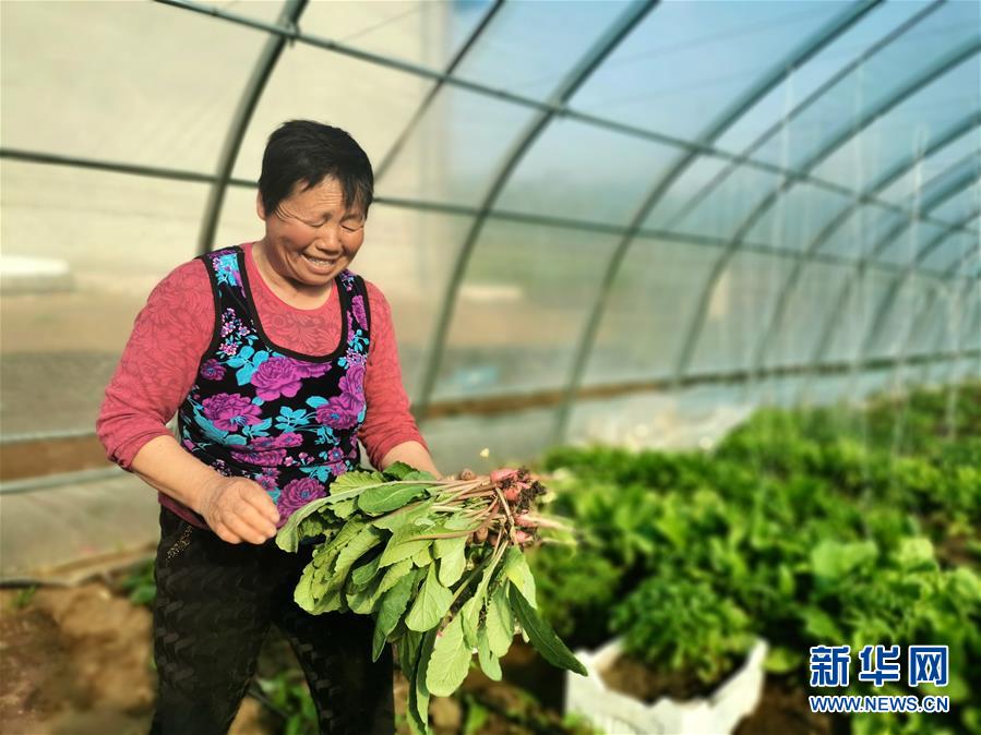 (圖文互動)(3)(在習近平新時代中國特色社會主義思想指引下——新時代新作為新篇章)“團結”振興團結村——黑龍江拜泉縣團結村凝聚民心攻堅脫貧