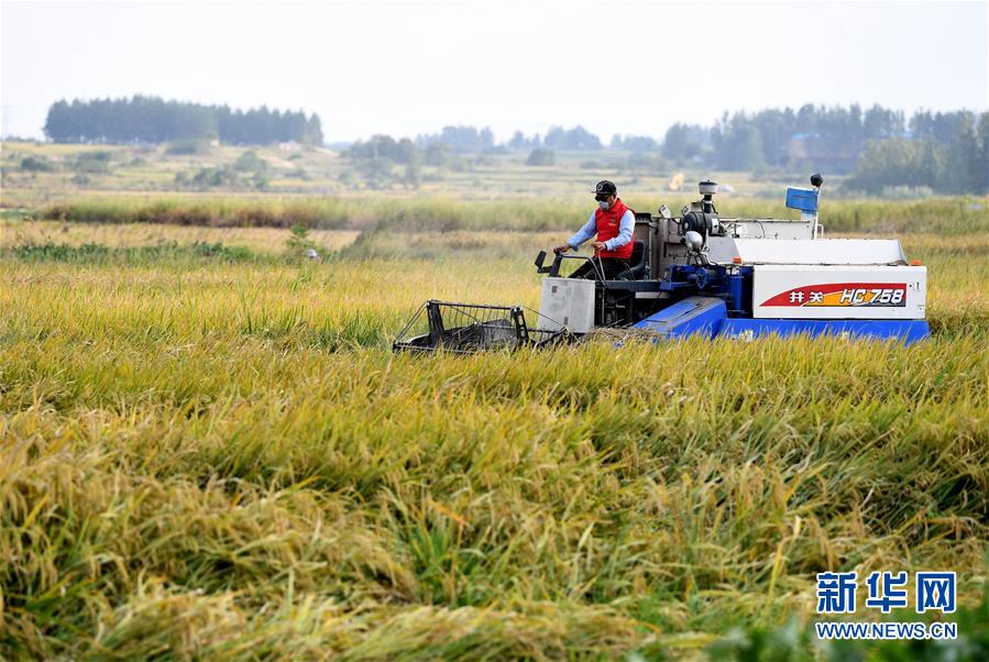 （壯麗70年&middot;奮斗新時代&mdash;&mdash;共和國發展成就巡禮&middot;圖文互動）（3）安徽70年：改革創新書寫時代答卷