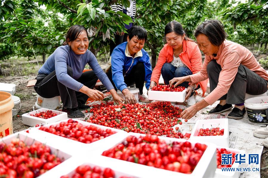（在習近平新時代中國特色社會主義思想指引下&mdash;&mdash;新時代新作為新篇章&middot;圖文互動）（2）中條山下綠意濃&mdash;&mdash;一個&ldquo;資源窮縣&rdquo;的生態發展之路
