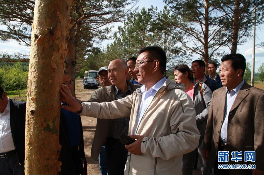 （新華全媒頭條&middot;圖文互動）（4）用生命守護那片綠色&mdash;&mdash;追記內蒙古大興安嶺林區干部于海俊