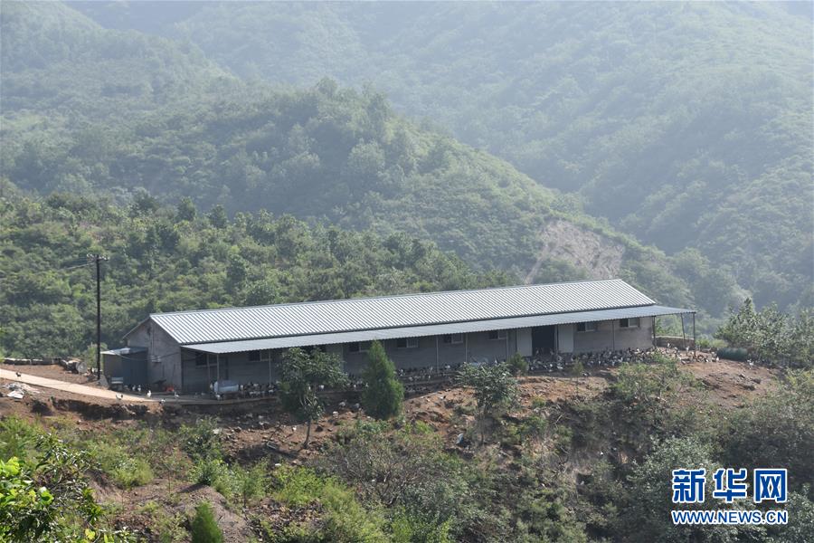 (圖文互動)(2)“退休創客”的山鄉致富“合作社”