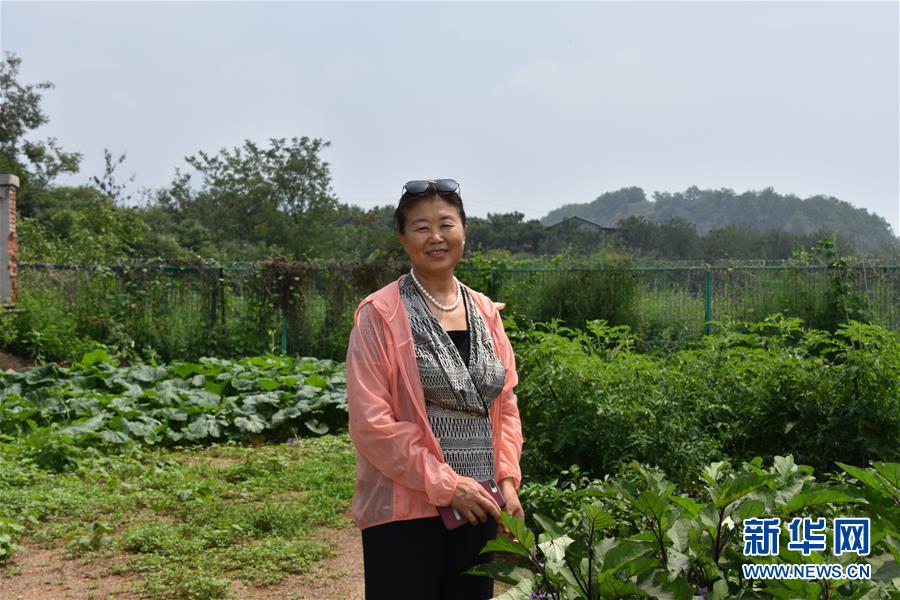 (圖文互動)(3)“退休創客”的山鄉致富“合作社”