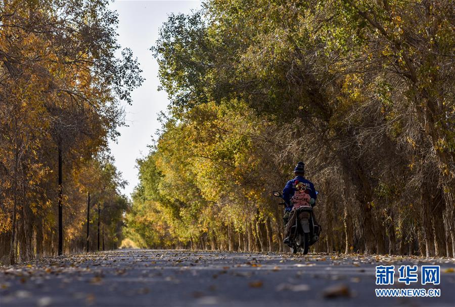 （壯麗70年&middot;奮斗新時代&mdash;&mdash;共和國發展成就巡禮&middot;圖文互動）（2）鑄劍為犁造綠洲 安邊固疆筑&ldquo;長城&rdquo;&mdash;&mdash;新疆生產建設兵團維穩戍邊改革發展紀實