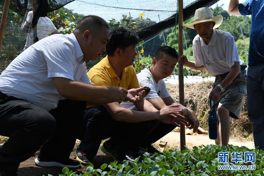 （圖文互動）（3）烏蒙山區扶貧第一書記背后的&ldquo;老監工&rdquo;