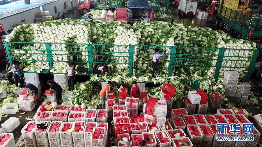 （壯麗70年&middot;奮斗新時代&mdash;&mdash;共和國發展成就巡禮）（5）看今朝齊風魯韻　七十載芳華正勁&mdash;&mdash;新中國成立以來山東領先發展紀實