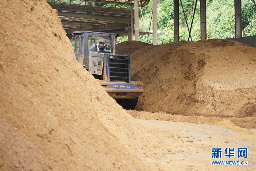 （在習近平新時代中國特色社會主義思想指引下&mdash;&mdash;新時代新作為新篇章&middot;總書記關心的百姓身邊事&middot;圖文互動）（4）大污染變身&ldquo;大寶藏&rdquo;：治理畜禽糞污，他們這樣干！