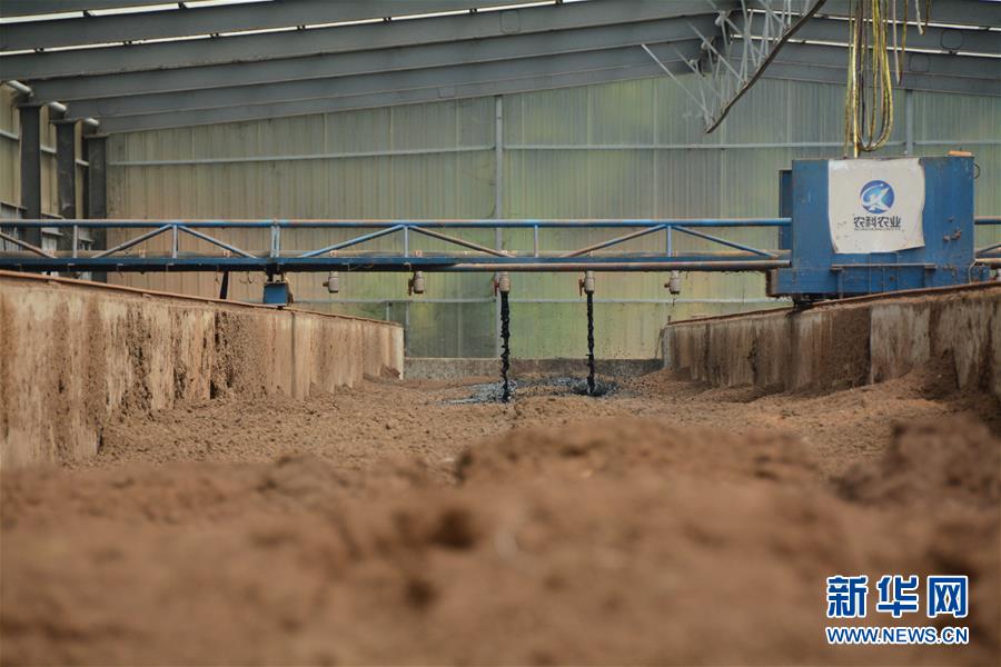 （在習近平新時代中國特色社會主義思想指引下&mdash;&mdash;新時代新作為新篇章&middot;總書記關心的百姓身邊事&middot;圖文互動）（5）大污染變身&ldquo;大寶藏&rdquo;：治理畜禽糞污，他們這樣干！