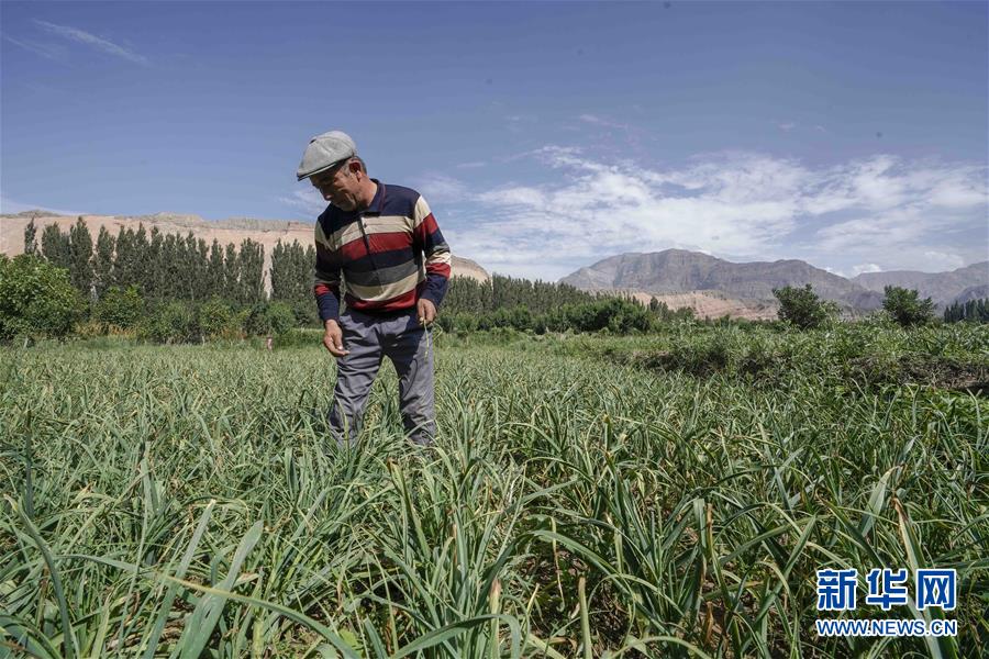 (決戰決勝脫貧攻堅·圖文互動)(6)記者手記:尋訪昆侖“桃花源”的“祛病”良方