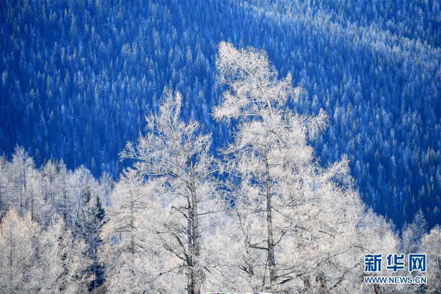（北京世園會）（12）生態中國&middot;壯美山河瞰新疆