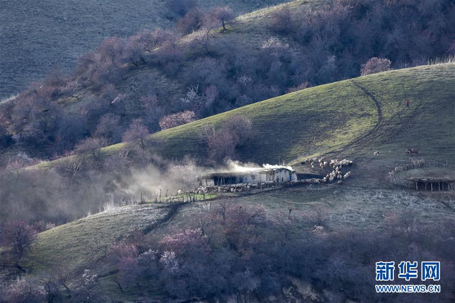 （北京世園會）（17）生態中國&middot;壯美山河瞰新疆