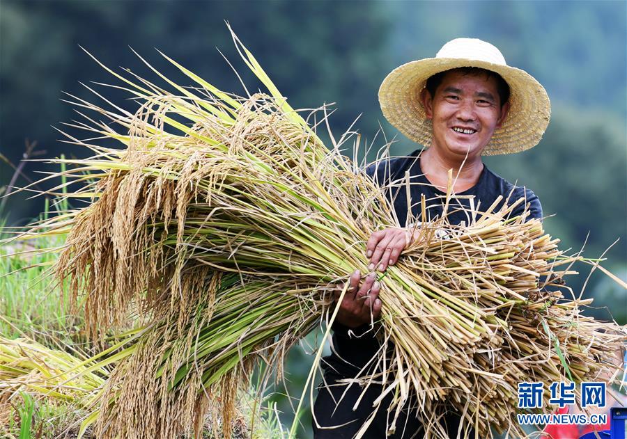 （全面深化改革&middot;圖文互動）（2）&ldquo;減&rdquo;出效益 &ldquo;融&rdquo;出特色 &ldquo;服&rdquo;出動力&mdash;&mdash;貴州推進農村產業結構調整觀察