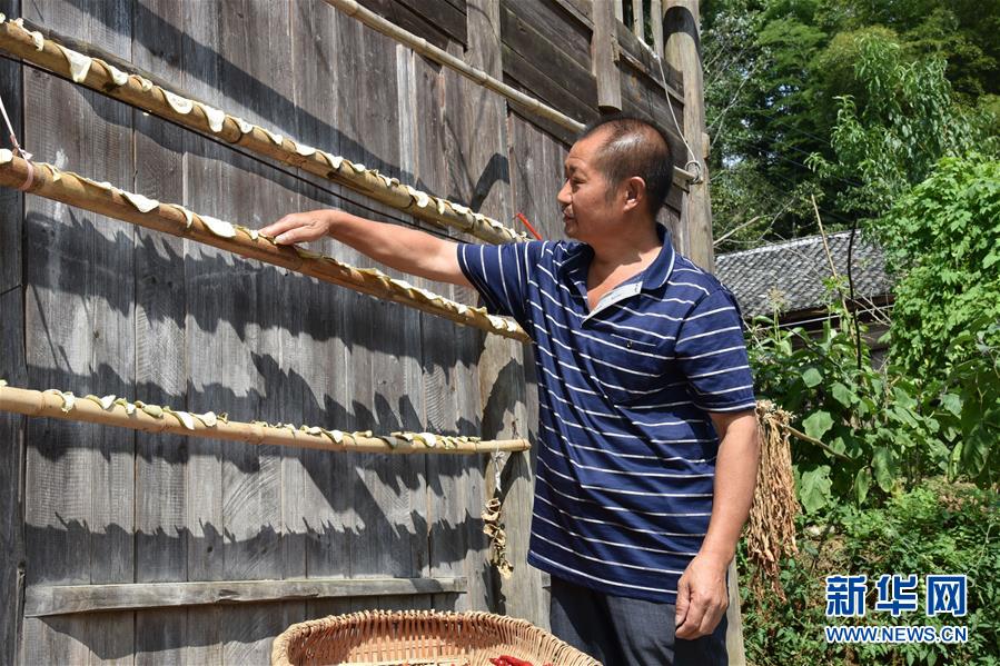 （愛(ài)國(guó)情 奮斗者&middot;圖文互動(dòng)）（2）貴州印江高石坎護(hù)林隊(duì)：半輩子，以林場(chǎng)為家