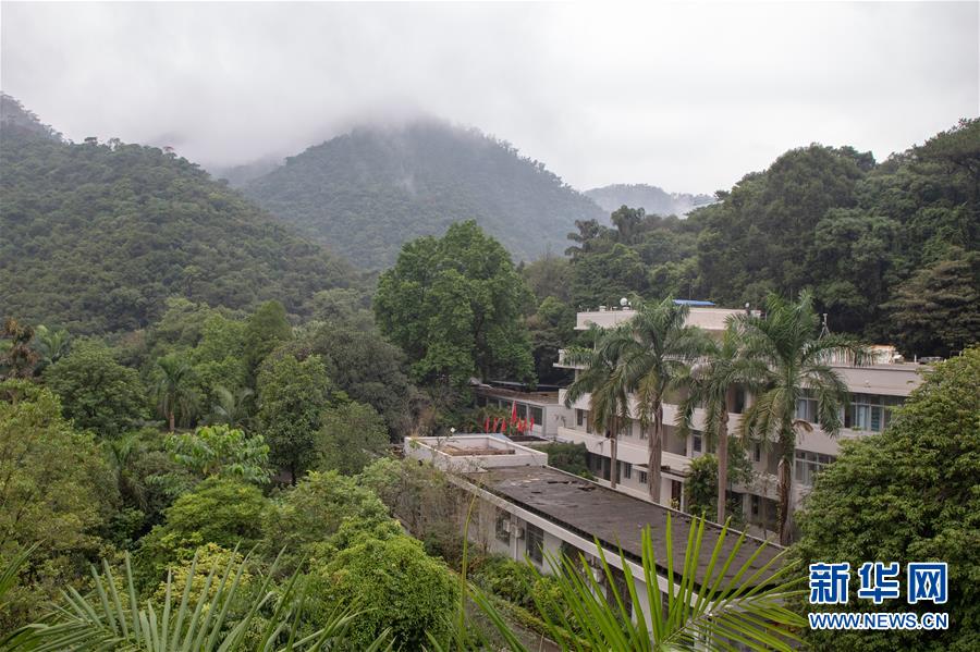 （圖文互動）（3）科學接續(xù)保護 守住生態(tài)紅線&mdash;&mdash;探訪&ldquo;北回歸沙漠帶上的綠色明珠&rdquo;